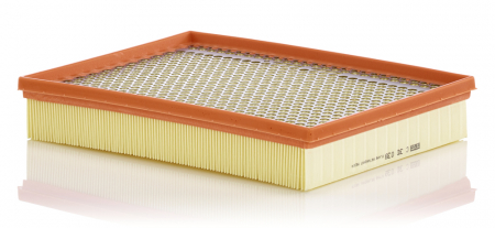 FILTRARE - Filtru Aer Mann-Filter C30039