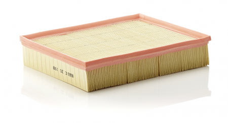 Conex - Filtru Aer Mann-Filter C30198