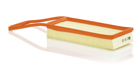 FILTRARE - Filtru Aer Mann-Filter C49001