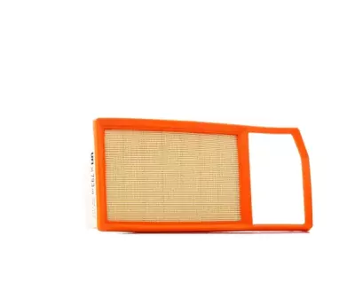 Filtre aer - Filtru aer OE OPEL 1631689980