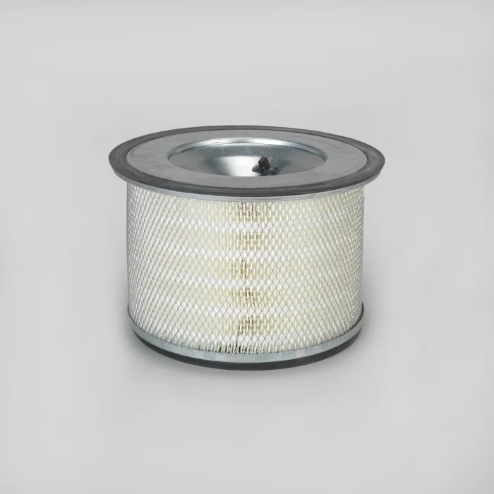 Filtre aer - Filtru aer  Principal Cilindric Donaldson P181113