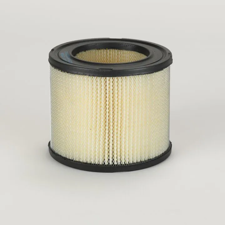 Filtre aer - Filtru aer  Principal Cilindric Donaldson P607326