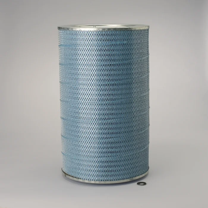 Filtre aer - Filtru aer  Principal Donaldson Blue Donaldson DBA7042