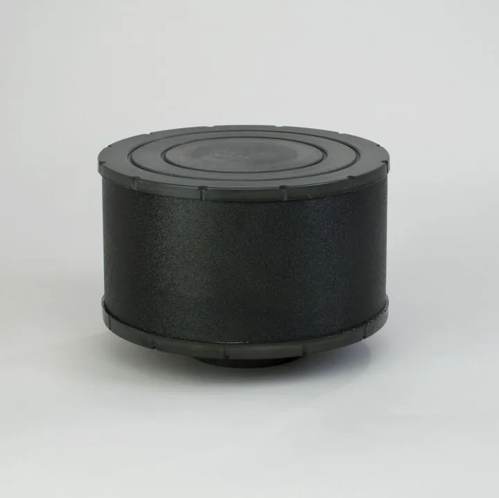 Piese auto - Filtru aer  Principal Duralite Donaldson C105028