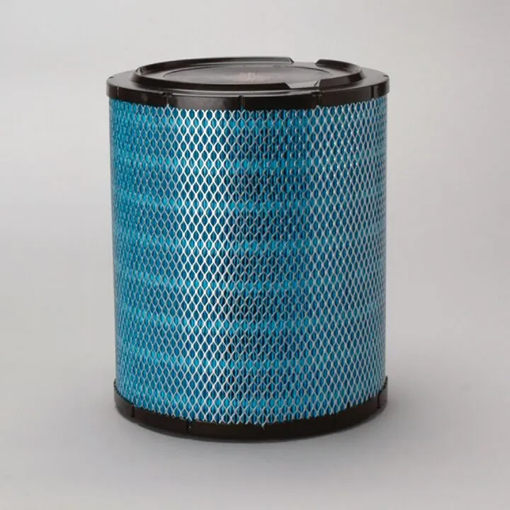 Piese auto - Filtru aer  Principal Radialseal Donaldson Blue Donaldson DBA5217