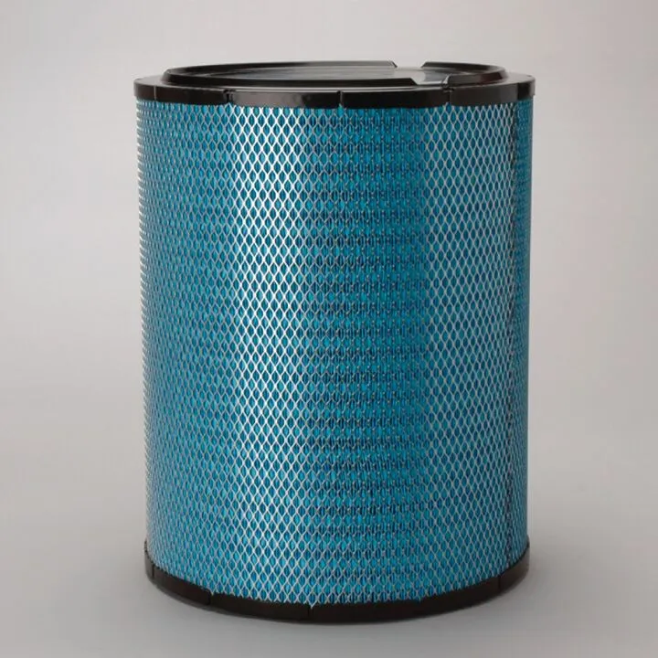Piese auto - Filtru aer  Principal Radialseal Donaldson Blue Donaldson DBA5219