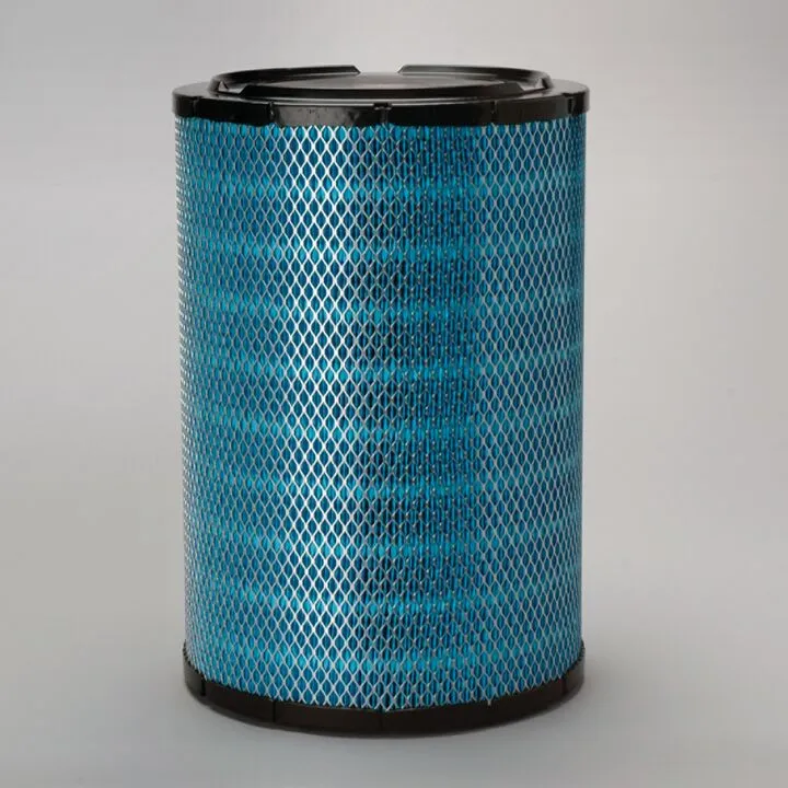 Filtre aer - Filtru aer  Principal Radialseal Donaldson Blue Donaldson DBA5220