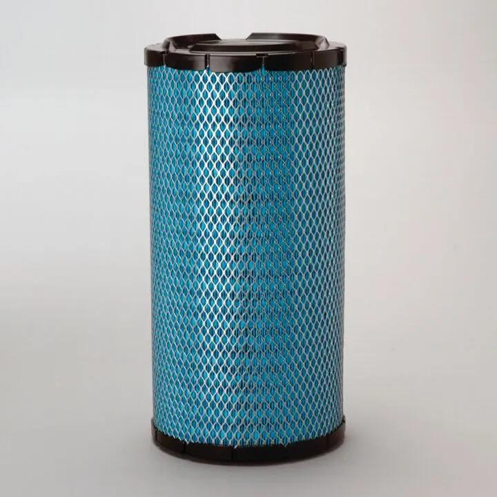 Filtre aer - Filtru aer  Principal Radialseal Donaldson Blue Donaldson DBA5228