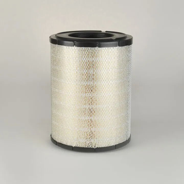 Filtre aer - Filtru aer  Principal Radialseal Donaldson P534435