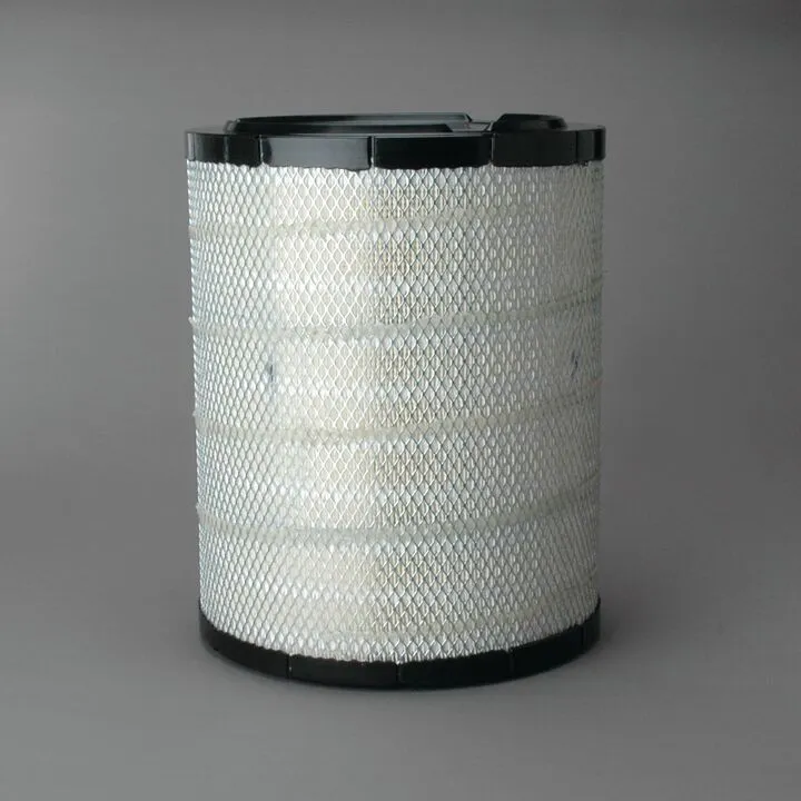 Filtre aer - Filtru aer  Principal Radialseal Donaldson P540388
