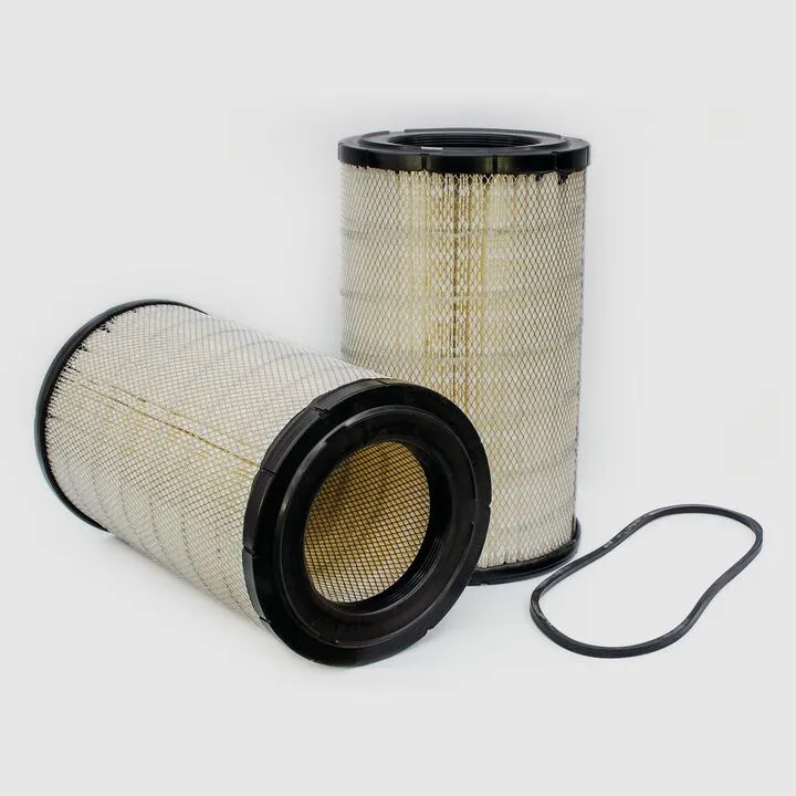 Piese auto - Filtru aer  Principal Radialseal Donaldson P544243