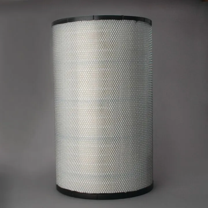 Filtre aer - Filtru aer  Principal Radialseal Donaldson P609519