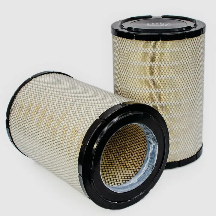 Filtre aer - Filtru aer  Principal Radialseal Donaldson P616091