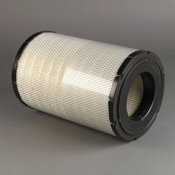 Piese auto - Filtru aer  Principal Radialseal Donaldson P784813