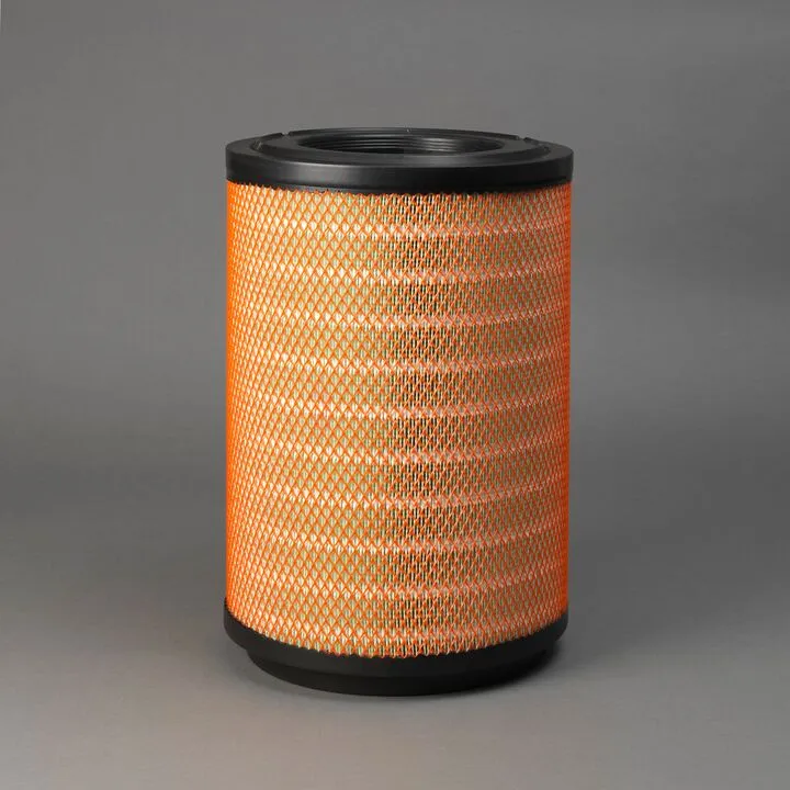 Piese auto - Filtru aer  Principal Radialseal Donaldson P951825