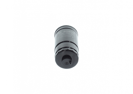 Filtre combustibil - Filtru Combustibil BOSCH 1457434324