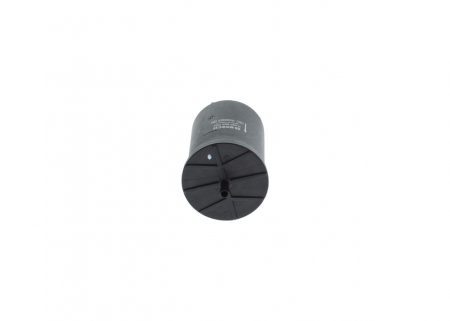 Filtru Combustibil BOSCH 0450905264 [1]