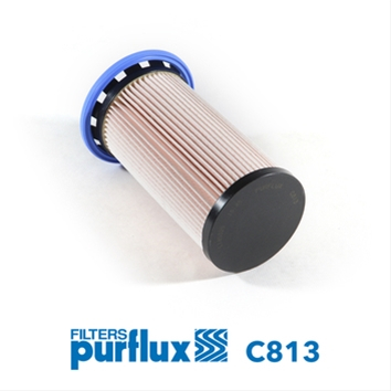Filtre combustibil - Filtru combustibil Purflux C813
