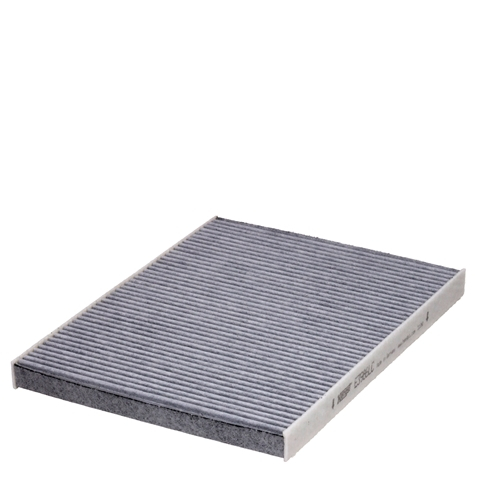 Filtre habitaclu - Filtru habitaclu HENGST E3986LC
