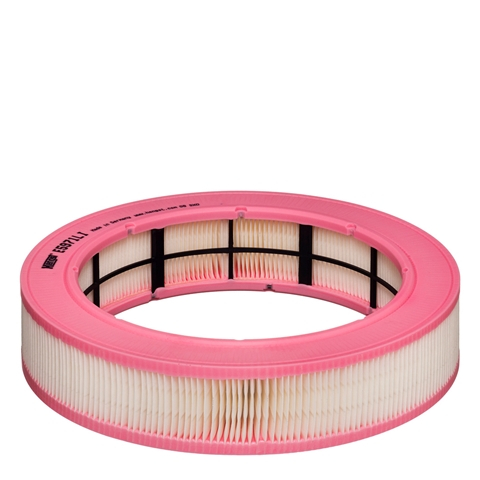 Filtre habitaclu - Filtru habitaclu HENGST E5971LI