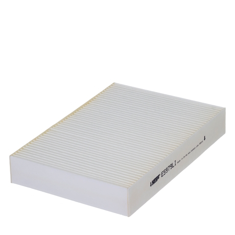 Filtre habitaclu - Filtru habitaclu HENGST E5979LI