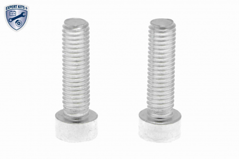 Filtru hidraulic ambreiaj haldex VAICO V25-1300 [3]