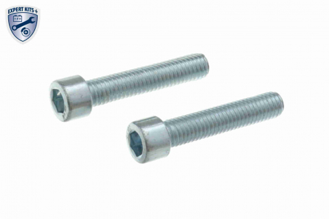 Filtru hidraulic ambreiaj haldex VAICO V10-5000 [9]