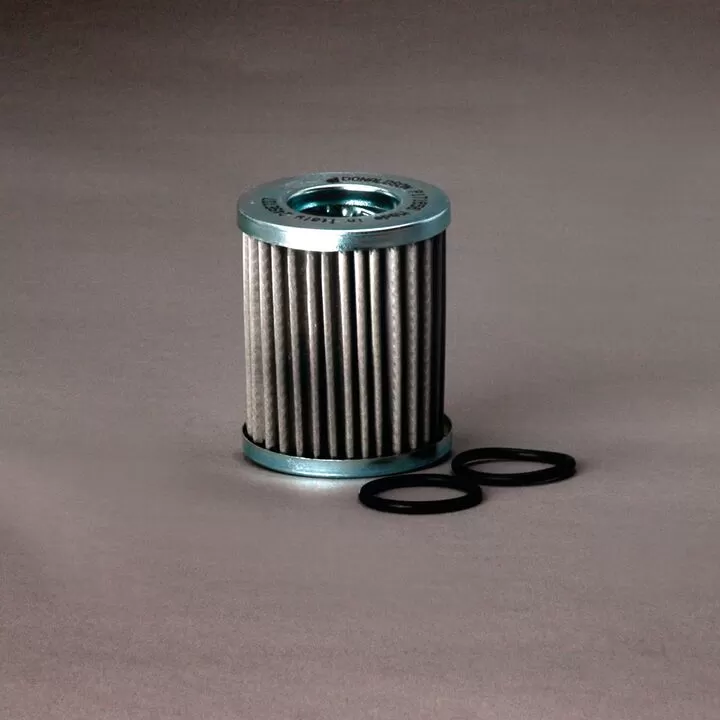 Filtre hidraulice - Filtru hidraulic Donaldson P171656 pentru Fbo C406