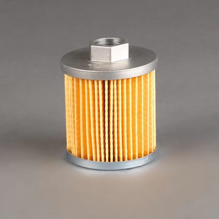 Filtre hidraulice - Filtru hidraulic Donaldson P171866 pentru Modina FAM6CVB30