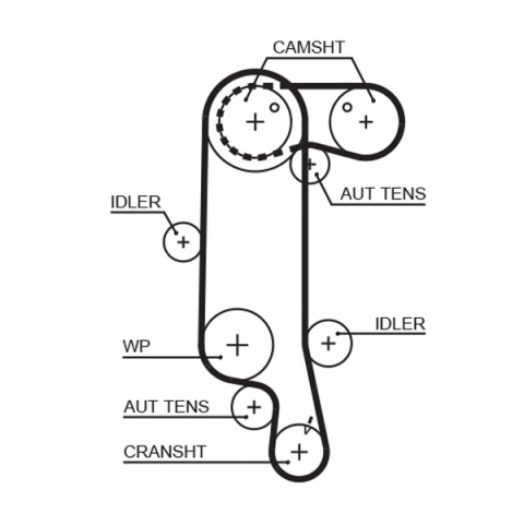 Piese auto - Kit distributie 2 curele si 3 role GATES K045565XS
