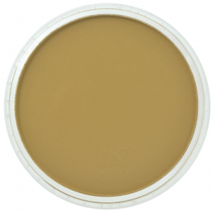Culori individuale 9g - PanPastel Yellow Ochre Shade 9g