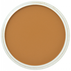 Culori individuale 9g - PanPastel Orange Shade 9g