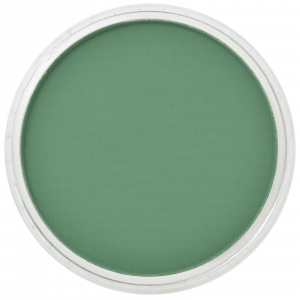 Culori individuale 9g - PanPastel Permanent Green Shade 9g
