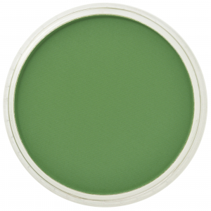 Culori individuale 9g - PanPastel Chrom Oxide Green 9g