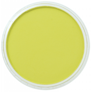Culori individuale 9g - Panpastel Bt Yellow Green 9g