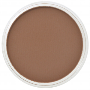 Culori individuale 9g - PanPastel Raw Umber Shade 9g