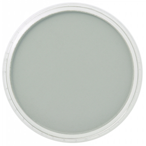 Culori individuale 9g - Culoare PanPastel Neutral Grey 9g