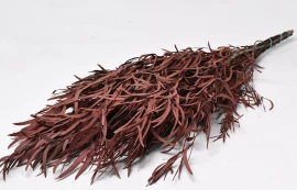 Foliaje conservate/uscate - Eucalyptus Nicoly 75 cm -125g   Red