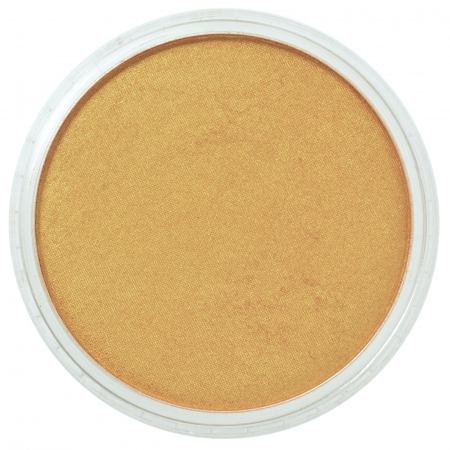 Culori individuale metalice si sidefate 9g - PanPaste Rich Gold 9g