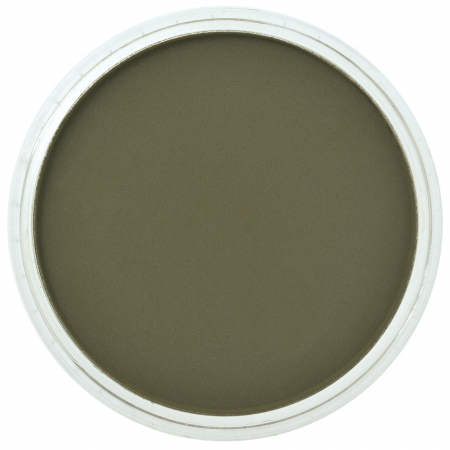 Culori individuale 9g - PanPastel Bright Yellow Green Extra Dark 9g