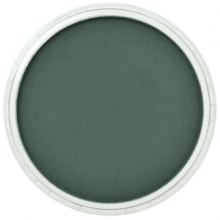Culori individuale 9g - PanPastel Phthalo Green Extra Dark 9g