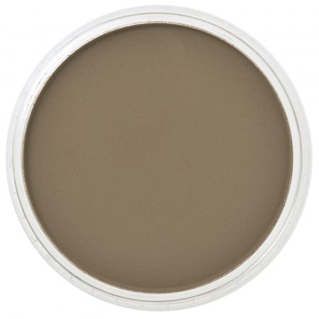 Culori individuale 9g - PanPastel Raw Umber 9g