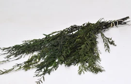 Foliaje conservate/uscate - Peppertree Leaves Green 100g