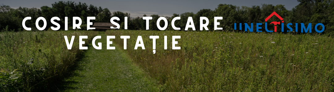 Pagina tocatoare