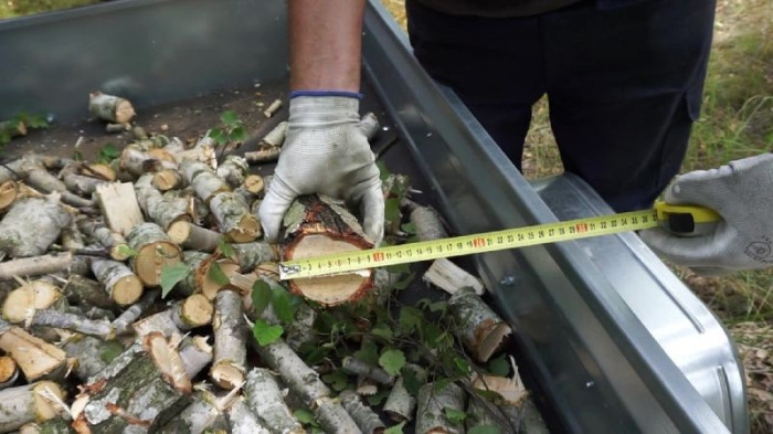 REMET RE 120 – tocător crengi electric 7.5 kW [4]