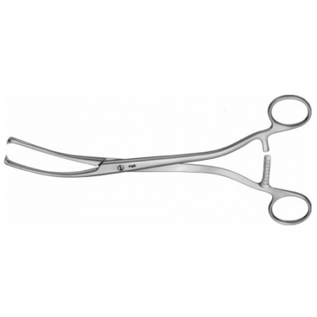 Pensa uterina - Pensa uterina Museux 240mm (6mm)