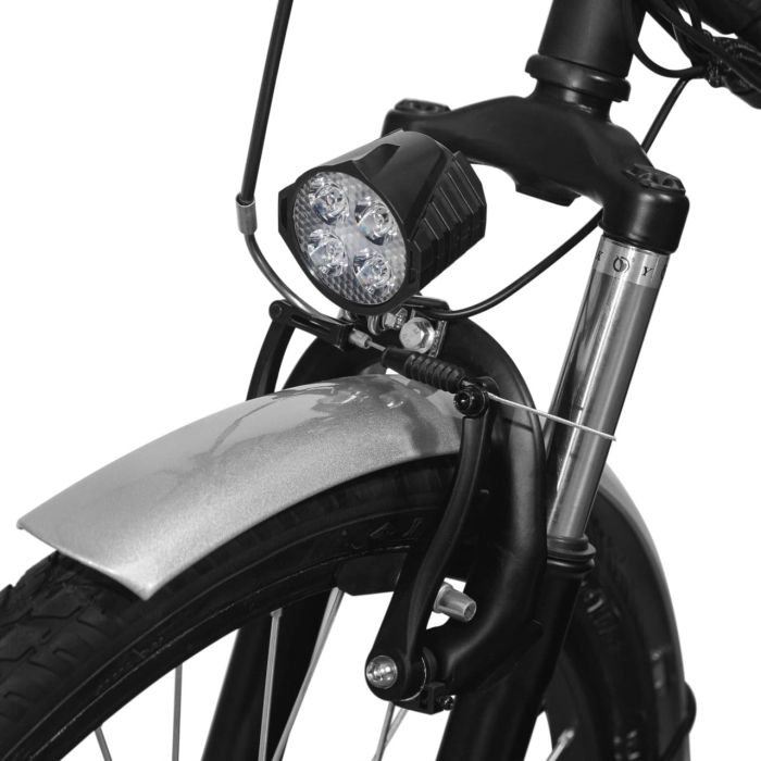 Bicicleta Electrica pentru Adulti Volta VB3, 250W, 25km/h, Shimano, Autonomie Maxima 30-80km, Neagra [4]