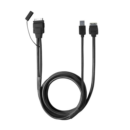 iPod/iPhone 4/4S to USB Connection Cable Pioneer CA-IW-201S [1]
