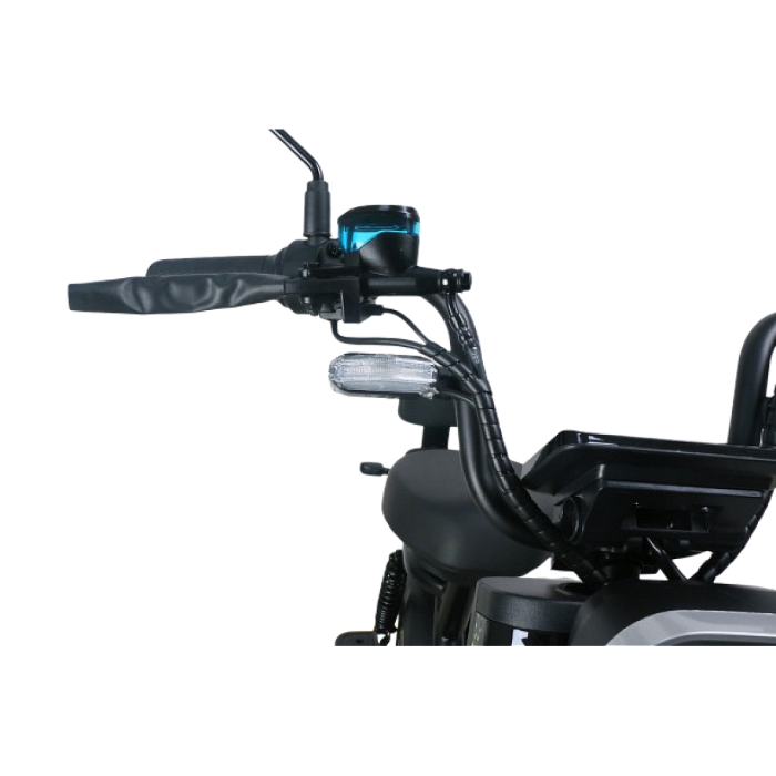 Scuter Electric RDB ROMA, 600W, fara permis, 25km/h, Gri [18]