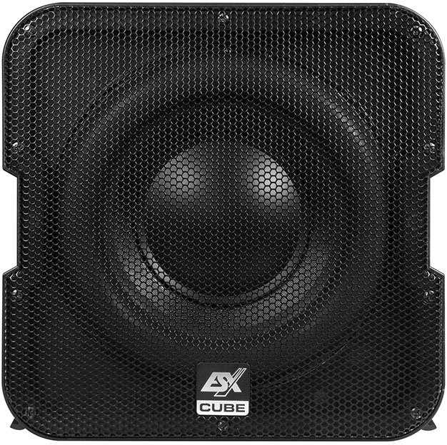 Subwoofer auto activ ESX Vision V1600A, 20 cm, 150W RMS [2]